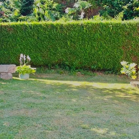 Petite Maison Planchez Extérieur photo